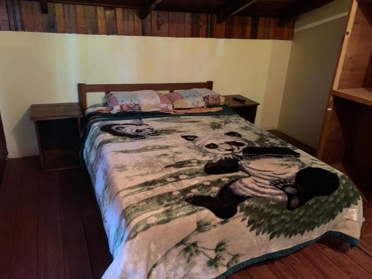 פוארטו איגואסו Litt Iguazu Hostal מראה חיצוני תמונה